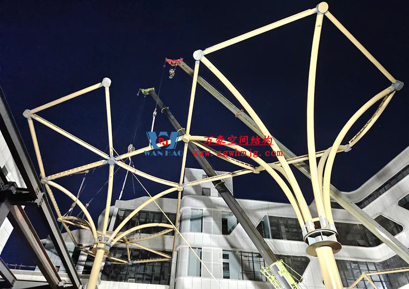 中國東盟特色商品匯聚中心膜鋼構(gòu)工程火熱施工中 中國東盟特色商品匯聚中心膜鋼構(gòu)工程火熱施工中