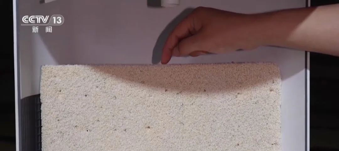 我國首批糧食【氣膜倉】正式投運(yùn) 我國首批糧食【氣膜倉】正式投運(yùn)