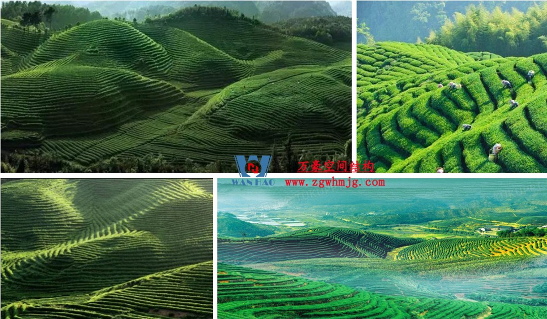 博多森谷項目中庭etfe膜結構工程 博多森谷項目中庭etfe膜結構工程