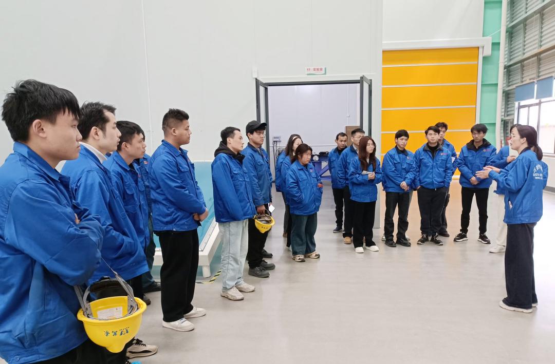 凝“新”聚力，奮勇前行|新員工崗前專業知識培訓，開啟征程新篇章